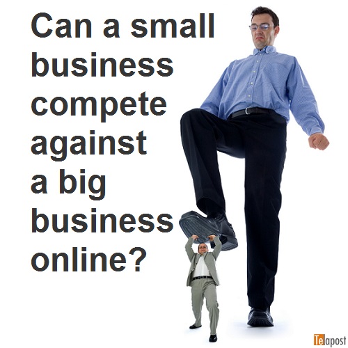 small vs big business