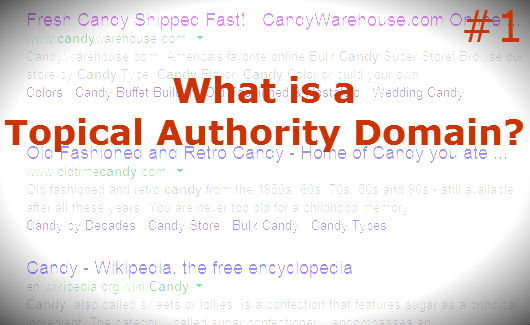 topical authoirty domain