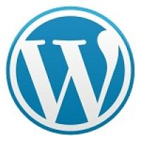 Problems with Custom WordPress Sites