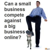 Can a small business compete against a big business online? 