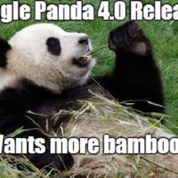 What Panda 4.0 Means for Your Business