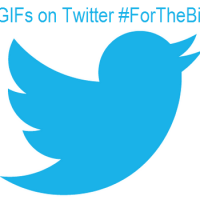 Are GIFs on Twitter For The Birds?