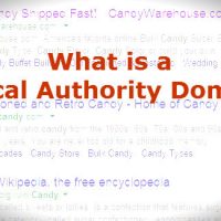 What is a Topical Authority Domain? 