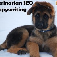 Veterinarian SEO Copywriting and Search Engine Optimization