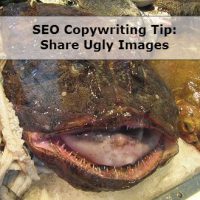 SEO Copywriting & Content Tip: Include & Optimize Images