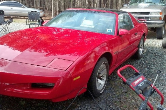 Firebird