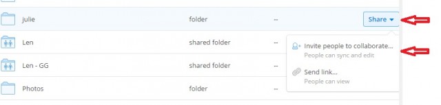dropbox share options