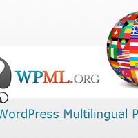 The SEO Value of Multilingual Content