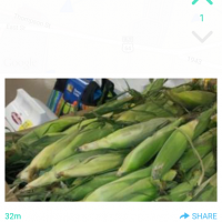 Yik Yak Now Allows Pics