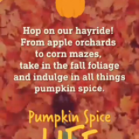 Pumpkin Spice Life Snapchat Story October 2015