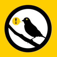 What Happened to Reddit's Warrant Canary?