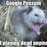 Google Possum and Local Search Updates September 2016