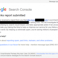 Does Google Act on Paid Link Spam Reports?