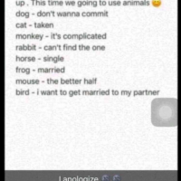 Snapchat Animal Meanings - A Complete List