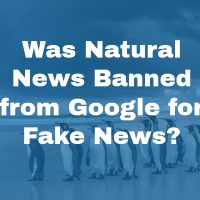 Was Natural News Banned from Google for Fake News?