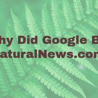 Why Did Google Penalize NaturalNews.com in February 2017?