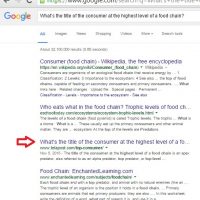 Improving Content for Better SEO and Google Rankings [Case Study]