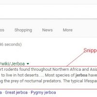 Google Ignoring Meta Descriptions and Enlarging Snippets - 2017 and 2018