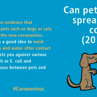 World Health Organization Removes Content Explaining Pets Can't Spread Coronavirus 2019-nCoV