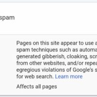 Google "Pure Spam" Penalty Deindexes Sites March 6 2024